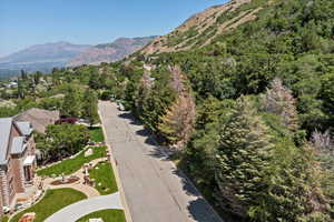 View of mountain background