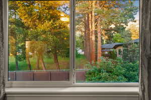 View of tree farm directly behind home.