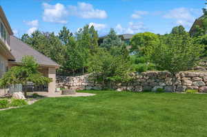 View of green lawn