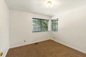 Spare room with healthy amount of natural light, carpet flooring, and baseboards