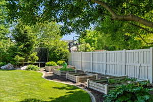 View of vegetable garden area