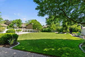 View of backyard