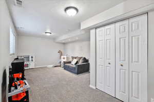 Basement living/rec room