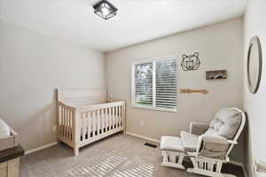 Updated carpeted and paint bedroom