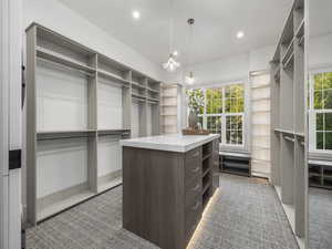Walk in closet with light carpet