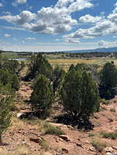 View of nature