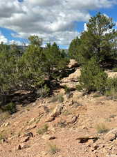 View of nature