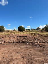 View of undeveloped land