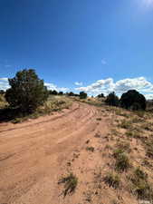 View of yard featuring a rural view