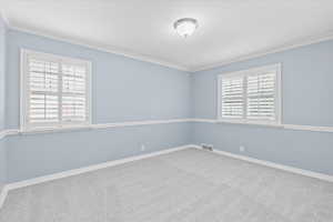 Unfurnished room with crown molding, carpet floors, and baseboards