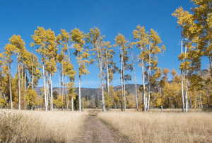Upper Meadows in the Fall