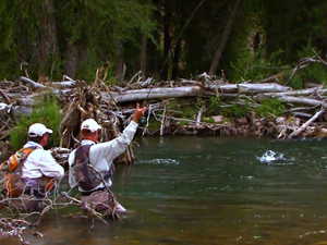 Fish on!