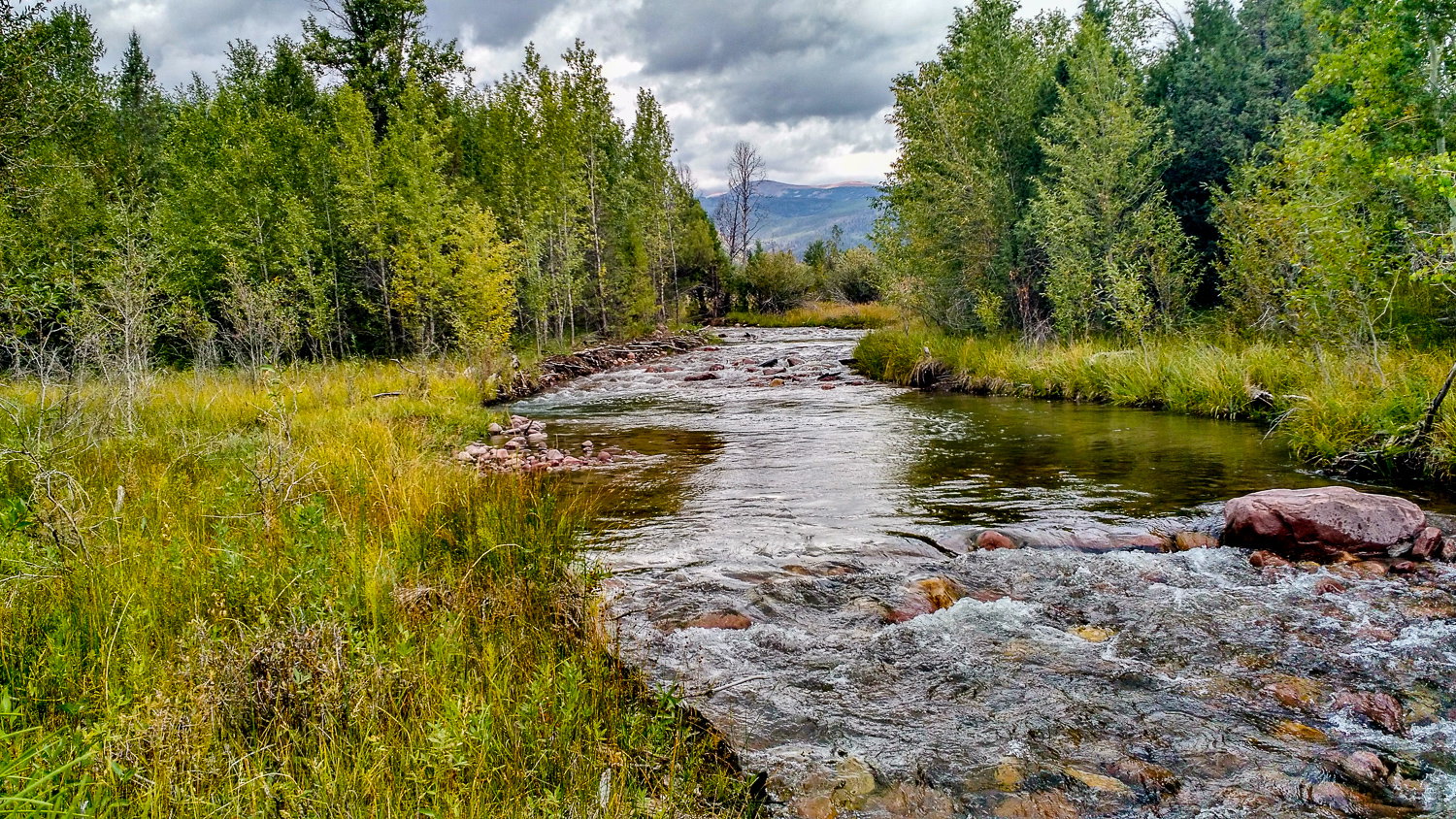 Summer Creek