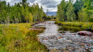 Summer Creek