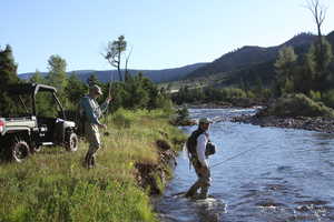 Photo 14 of 