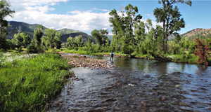 Fishing the serene Yellowstone River