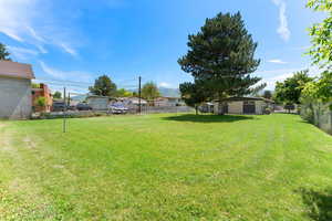 Play volleyball, corn hole, soccer, let the kids and dogs run freely.