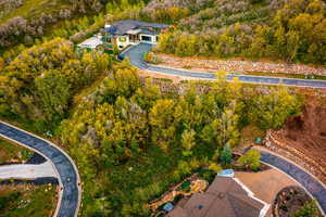 Aerial view of property's location with a forest