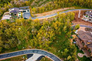 Aerial overview of property's location with a forest