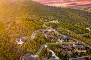 Aerial view at dusk of a forest view and a mountain view