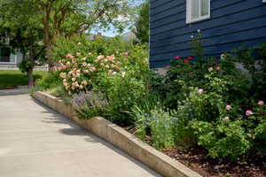 View of community