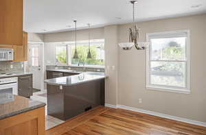 Kitchen featuring white appliances, a sink, tasteful backsplash, light wood finished floors, and hanging light fixtures