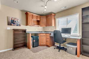 Home office featuring light colored carpet, a textured ceiling, baseboards, and a sink
