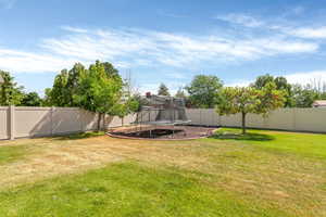 View of yard with a trampoline