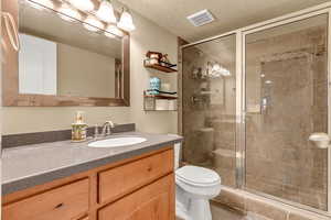 Full bathroom featuring toilet, vanity, and a stall shower