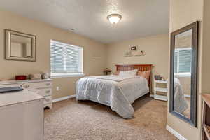 Bedroom featuring a textured ceiling, multiple windows, light carpet, and baseboards