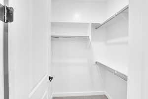 Walk in closet featuring carpet floors