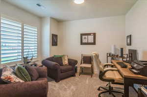 Home office featuring light carpet and plenty of natural light