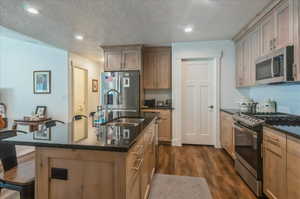 Kitchen with appliances with stainless steel finishes, a sink, dark wood finished floors, a kitchen breakfast bar, and recessed lighting
