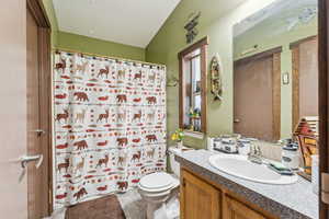 Full bathroom with vanity, toilet, and a shower with curtain