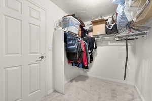 Spacious closet featuring carpet
