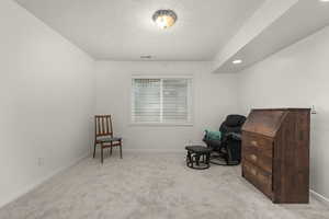 Living area featuring carpet and baseboards