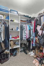 Walk in closet featuring carpet floors