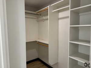 Spacious closet featuring wood finished floors