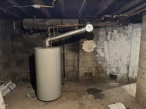Unfinished below grade area with gas water heater