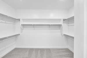 Spacious closet featuring carpet floors