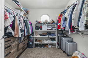 Spacious closet featuring carpet flooring