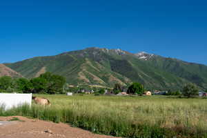 View of mountain background with rural landscape