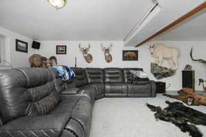 Living area with carpet floors