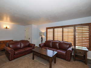 Living area with a textured ceiling, carpet, and baseboards