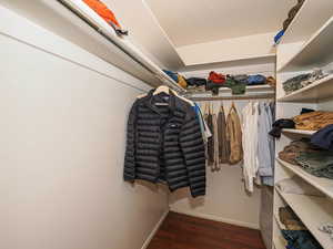 Walk in closet with wood finished floors