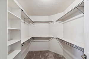Spacious closet with carpet flooring