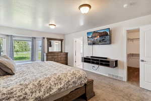 Bedroom with carpet, a spacious closet, a textured ceiling, a closet, and baseboards