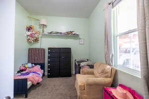 Bedroom featuring carpet