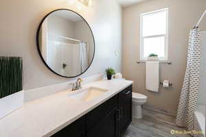 Full bathroom featuring vanity, toilet, and wood finished floors