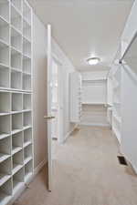 Walk in closet featuring carpet floors